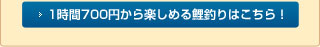 1時間600円から楽しめる鯉釣りはこちら！